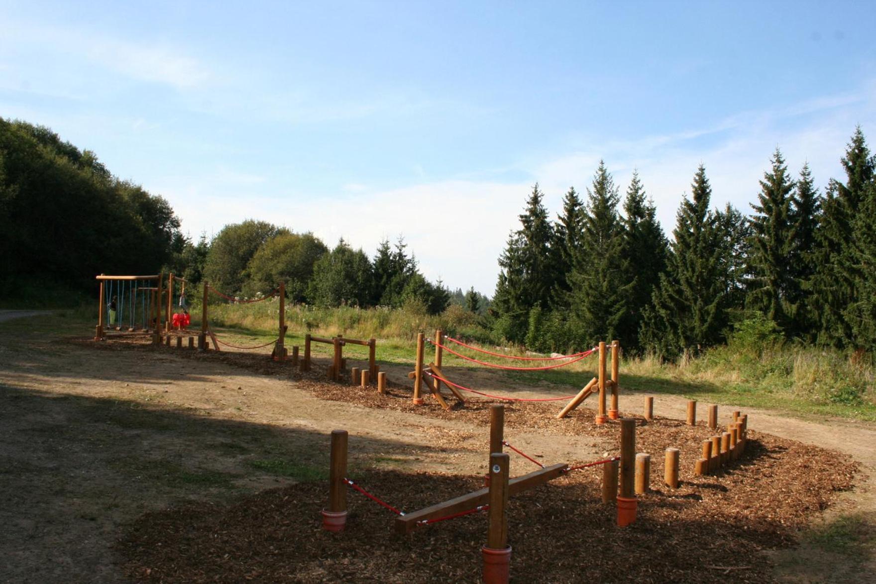 Spechtsboden C4- Hochwertige Ferienwohnung Mit 2 Schlafzimmer In Todtnauberg- Ski In And Ski Out, Feldberg Ngoại thất bức ảnh